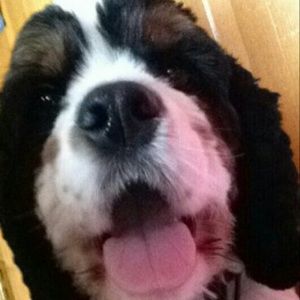 Meet your Posher, Michdrew